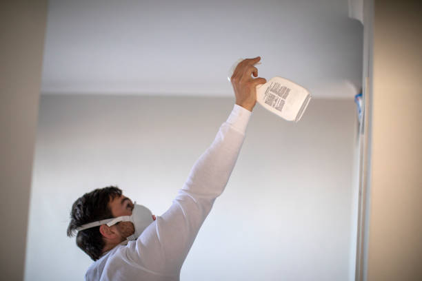 Best Best Mold Removal Companies  in Red Bay, AL