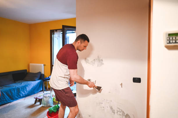 Best Mold Removal Specialists  in Red Bay, AL