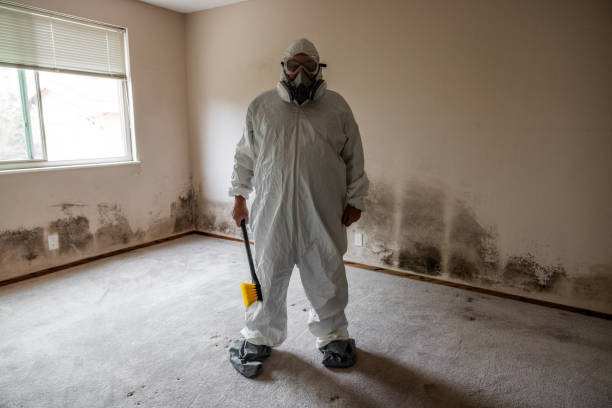 Best Affordable Mold Removal  in Red Bay, AL